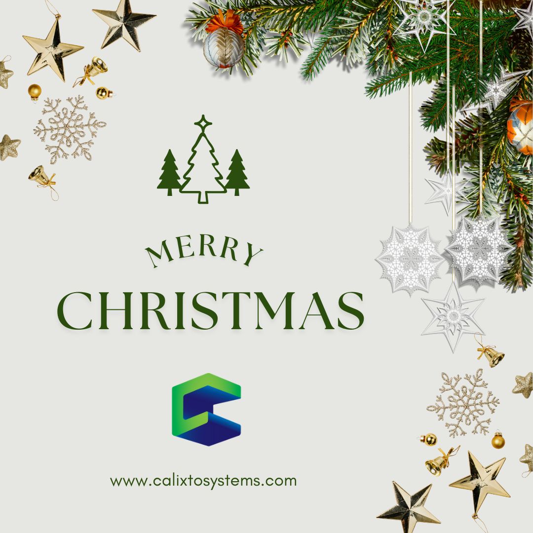 Calixto Systems Pvt Ltd